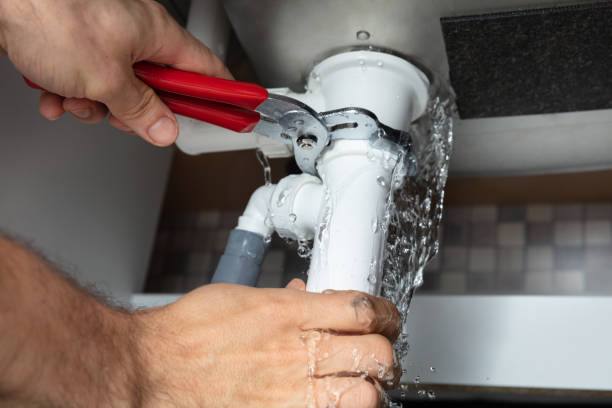 Best Flood restoration services  in Hebron, IL