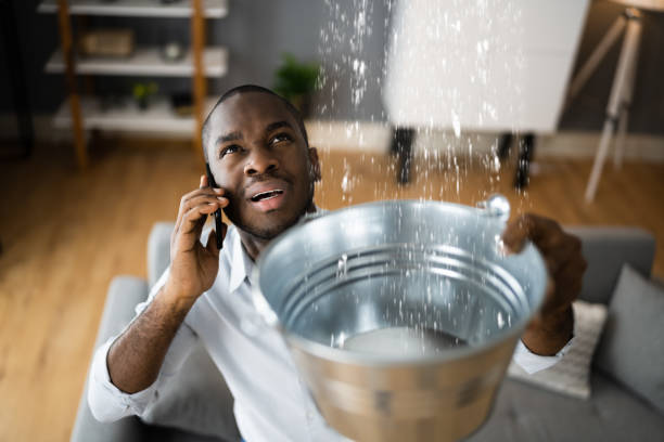 Carpet water damage restoration in Hebron, IL