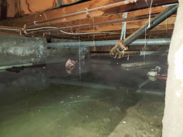 Best Basement water damage restoration  in Hebron, IL