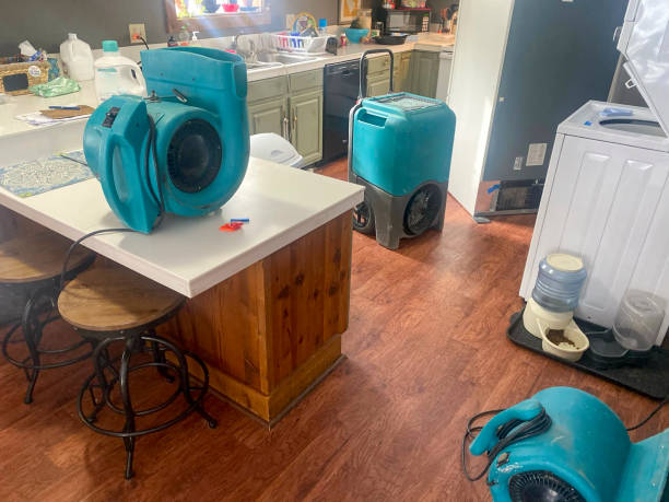 Carpet water damage restoration in Hebron, IL