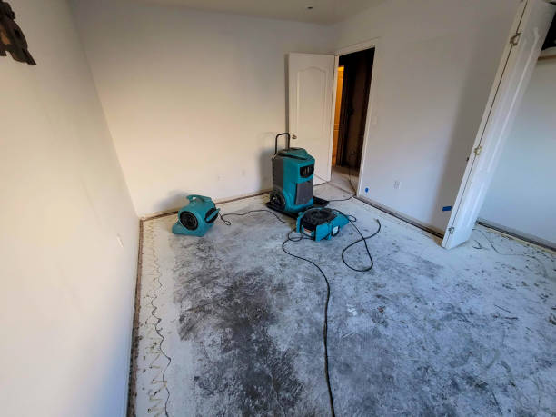 Best Basement water damage restoration  in Hebron, IL