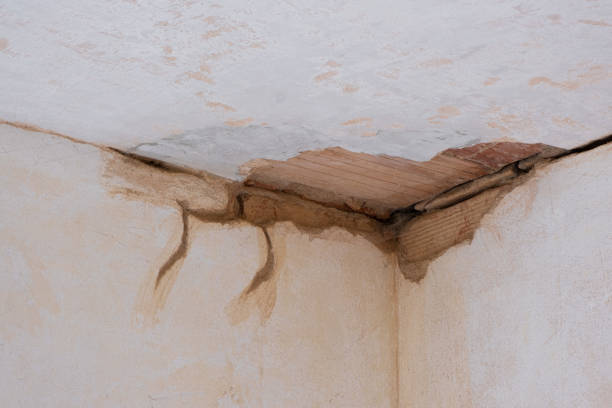 Best Water damage contractors near me  in Hebron, IL