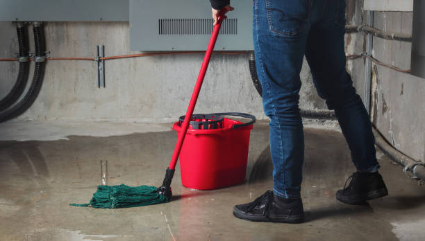 Best Residential water damage restoration  in Hebron, IL