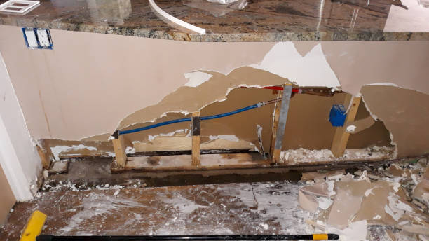 Best Ceiling water damage repair  in Hebron, IL
