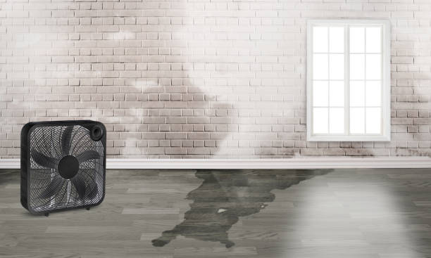 Best Fire Damage Restoration  in Hebron, IL