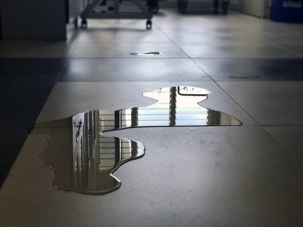 Best Water damage restoration specialists  in Hebron, IL