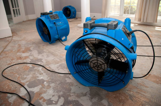 Best 24-hour water damage restoration  in Hebron, IL