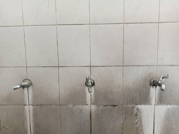 Best Ceiling water damage repair  in Hebron, IL