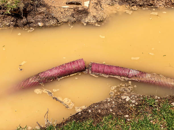 Best Local water damage restoration  in Hebron, IL