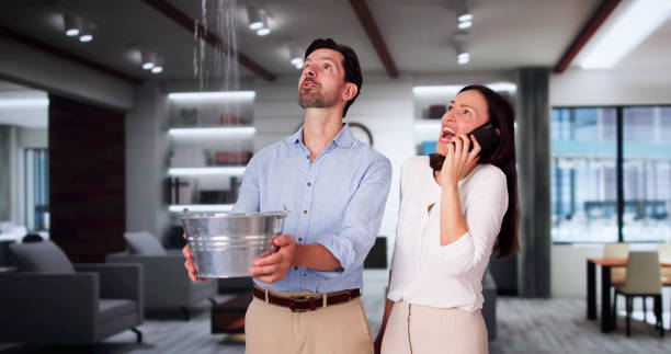 Best Water damage restoration specialists  in Hebron, IL