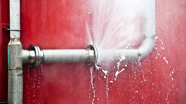 Best Water damage repair service  in Hebron, IL